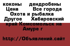 коконы    дендробены › Цена ­ 25 - Все города Охота и рыбалка » Другое   . Хабаровский край,Комсомольск-на-Амуре г.